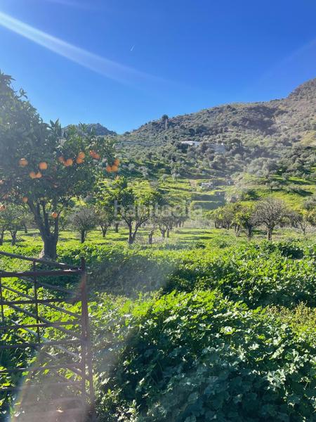 Foto 769c1948-e53a-4175-a3a2-081fce0b4ef2. Terrain résidentiel dans poligono 11 dans Huétor Tájar