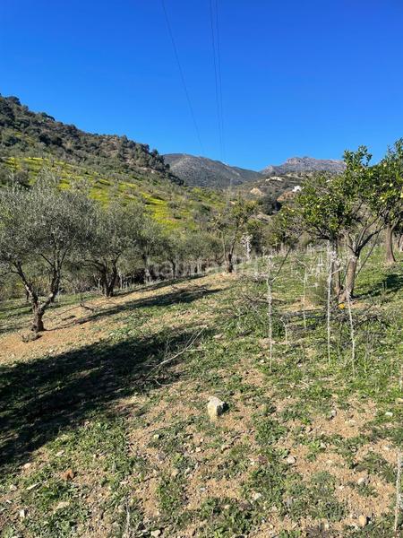 Foto 78bb5a82-d53d-422e-a684-cab24deea0ce. Terrain résidentiel dans poligono 11 dans Huétor Tájar