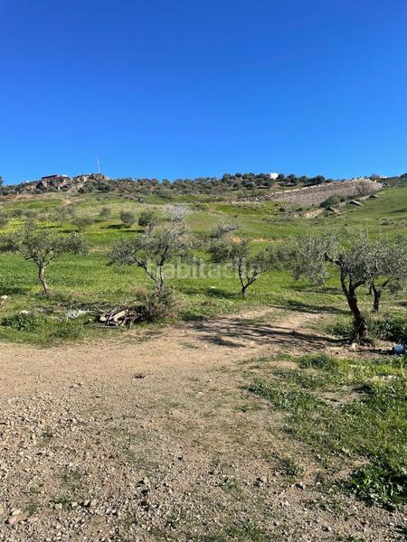 Foto a419c5d0-61f4-4818-b179-50db04272798. Terrain résidentiel dans poligono 11 dans Huétor Tájar