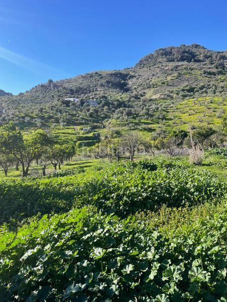 Foto a75b6c91-4d16-4061-8183-1120c5948285. Terrain résidentiel dans poligono 11 dans Huétor Tájar