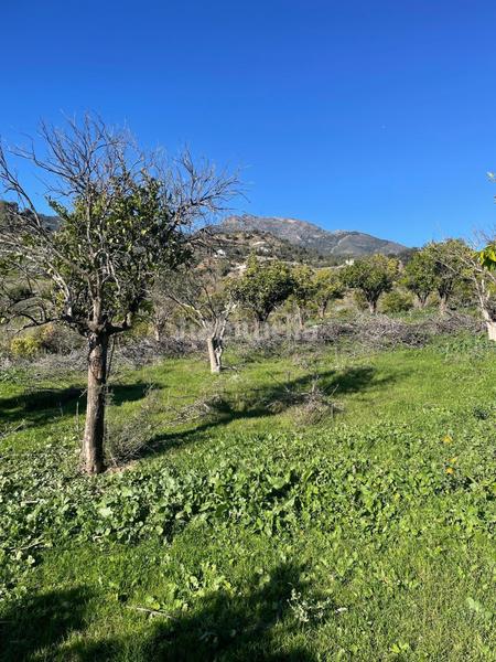 Foto ae4c569b-be10-4e9d-aa01-e5ff3d01c522. Terrain résidentiel dans poligono 11 dans Huétor Tájar
