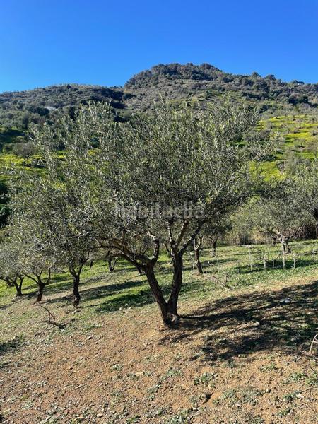 Foto bbe61e8b-b5b8-479e-9ae8-1d38252916ec. Terrain résidentiel dans poligono 11 dans Huétor Tájar