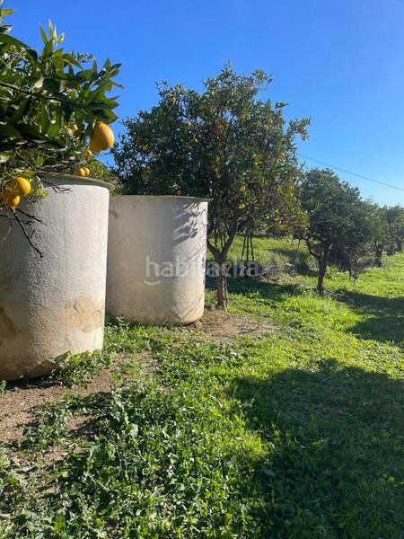 Foto c0ef31ce-9286-40a3-ba2f-77e06755d09f. Terrain résidentiel dans poligono 11 dans Huétor Tájar