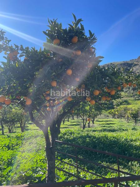 Foto d14298b0-538c-4783-9ba9-fca0eb297a0e. Terrain résidentiel dans poligono 11 dans Huétor Tájar