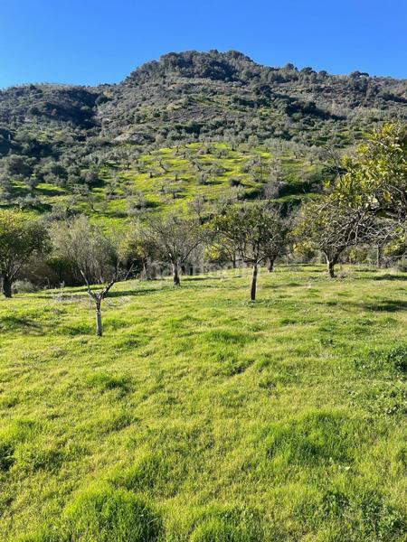 Foto d7be99a6-1624-41dd-8523-651f561b6269. Terrain résidentiel dans poligono 11 dans Huétor Tájar