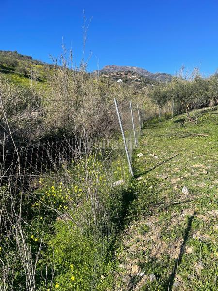 Foto ff6e25f2-b7d9-4bce-be19-b27b534375fc. Terrain résidentiel dans poligono 11 dans Huétor Tájar