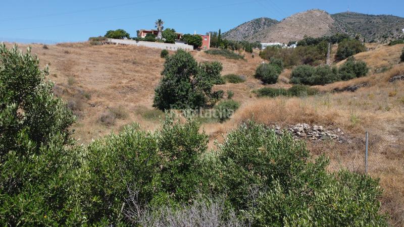 Foto a0ff24ef-3cd8-4a08-8f9a-01f86392df42. Fondo rustico in camino del piojo in La Capellanía - El Higuerón Benalmádena