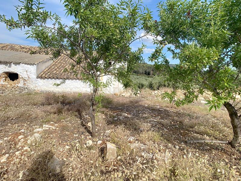 Foto 1975cc9a-ce3f-4f02-a7ea-ea0929b16245. Appartement in Algarinejo
