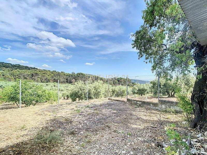 Foto e642ad03-bd8e-4091-8df2-73224bc07fff. Appartement in Algarinejo