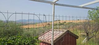 Landgut  Polígono 33 parcela 57 moraila. cartama (málaga). Terreno en cártama, málaga naturaleza y tranquilidad