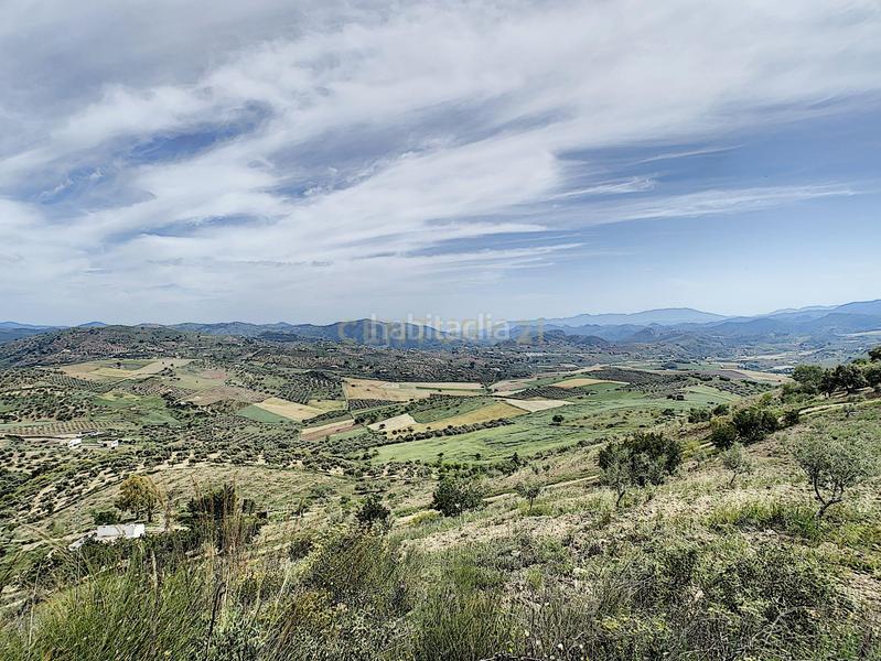 Foto 09182821-c6f4-4abf-864d-fd6987cc565c. House in Casabermeja