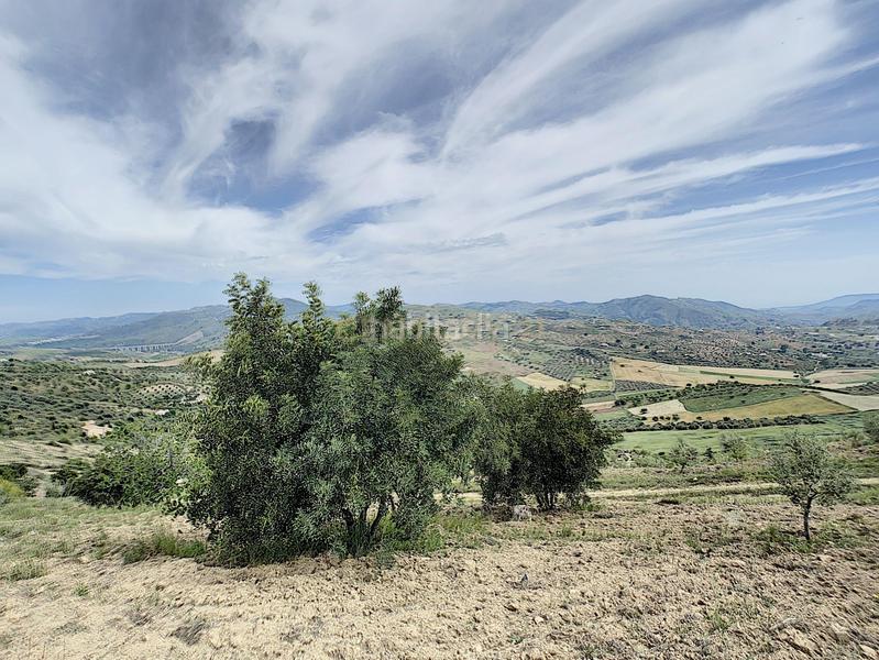 Foto 21c2635d-fca5-451a-af72-b75f1c1ba05d. House in Casabermeja