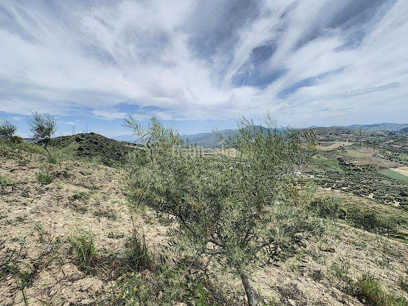 Foto 7e279127-7630-4e9c-8f1a-977e654d323c. House in Casabermeja