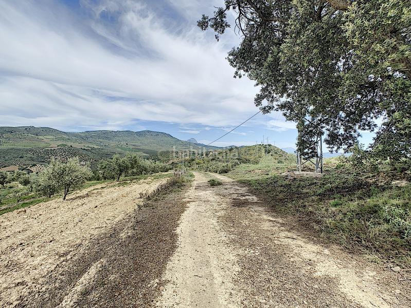 Foto 8541895c-b87d-43ca-818f-2398afb04d7a. House in Casabermeja