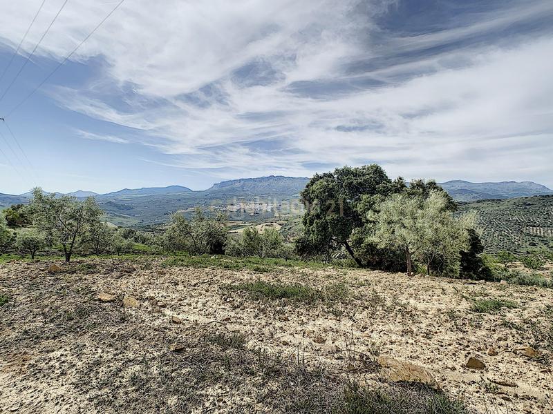 Foto a16d681d-d0f1-42ea-8050-d1b25f0a820b. House in Casabermeja