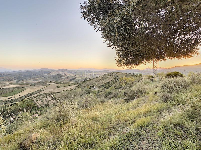 Foto b1b74254-9dee-4997-baaa-308e0f169966. House in Casabermeja