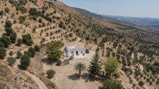 Casa a Carretera, 1, 29160 casabermeja, málaga, spain 174. Finca rústica de 73.000 m con casa reformada, producción agrícol