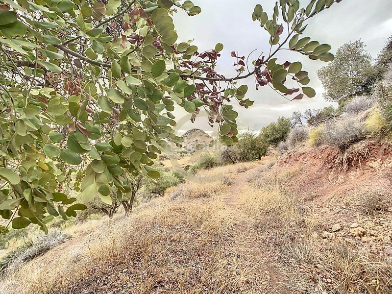 Foto 1c6290ca-ac89-46aa-84d5-6e59a579bf4b. Casa in poligono in El Cortijuelo Málaga