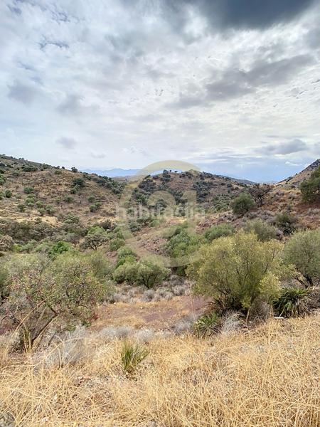 Foto 3ffb6892-1e24-4bc0-9183-aed315d5be19. Casa in poligono in El Cortijuelo Málaga