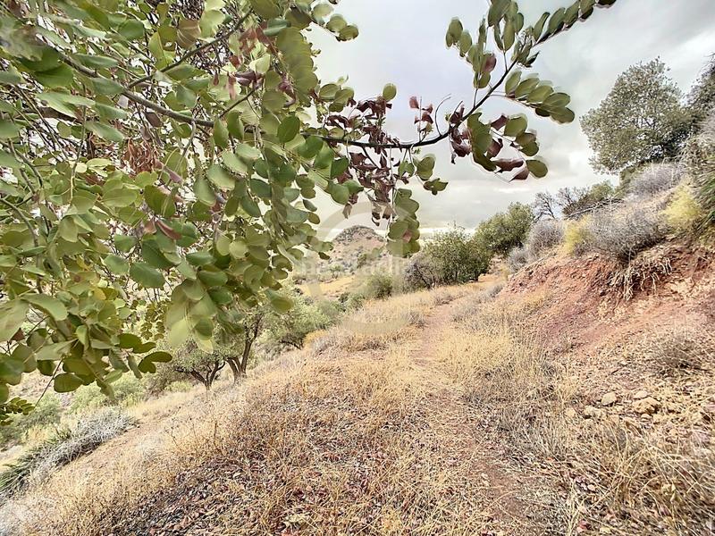 Foto 48d67d18-d500-41b2-8463-0227c1813a12. Casa in poligono in El Cortijuelo Málaga