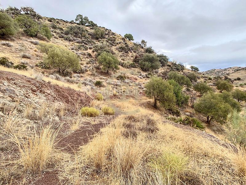 Foto 4c54bfce-921d-424d-94cd-5a54259b3bda. Casa in poligono in El Cortijuelo Málaga