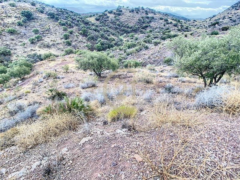 Foto 6959ff0e-0c5b-44d8-8b17-bc79b8dd830b. Casa in poligono in El Cortijuelo Málaga