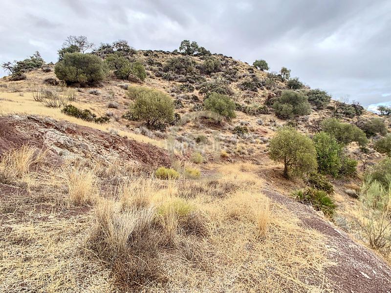 Foto 7e05db12-fe63-4542-9766-9986274c7dd2. Casa in poligono in El Cortijuelo Málaga