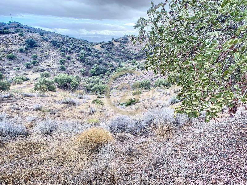 Foto 8017611a-8e98-40d8-bf88-e1507de2d681. Casa in poligono in El Cortijuelo Málaga