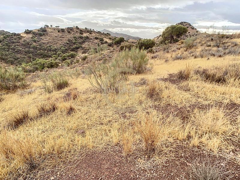 Foto ba5b1adc-c959-45aa-b3c9-db0fa585dcb0. Casa in poligono in El Cortijuelo Málaga