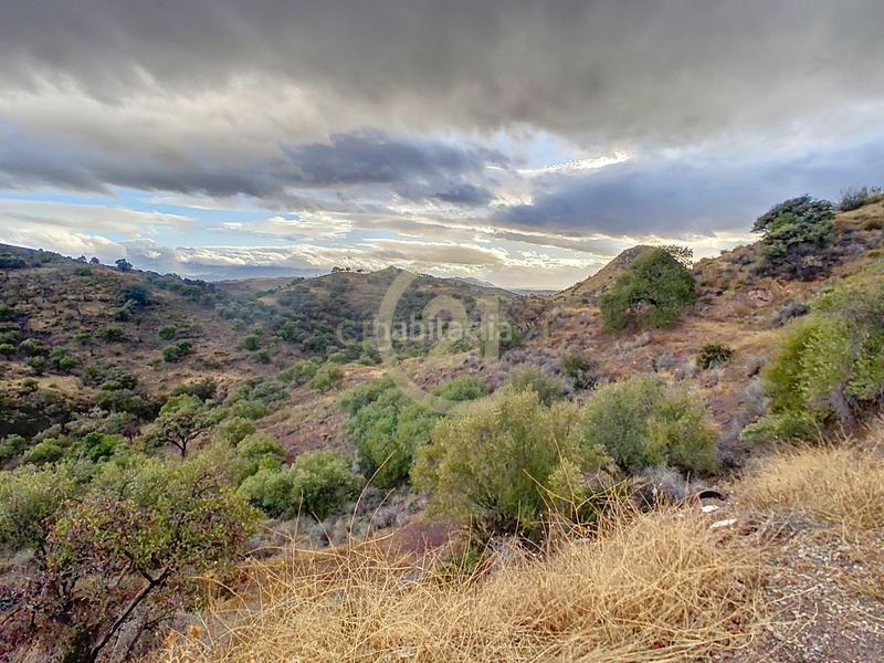 Foto e81191c9-7143-409b-95eb-2033a8c32646. Casa in poligono in El Cortijuelo Málaga
