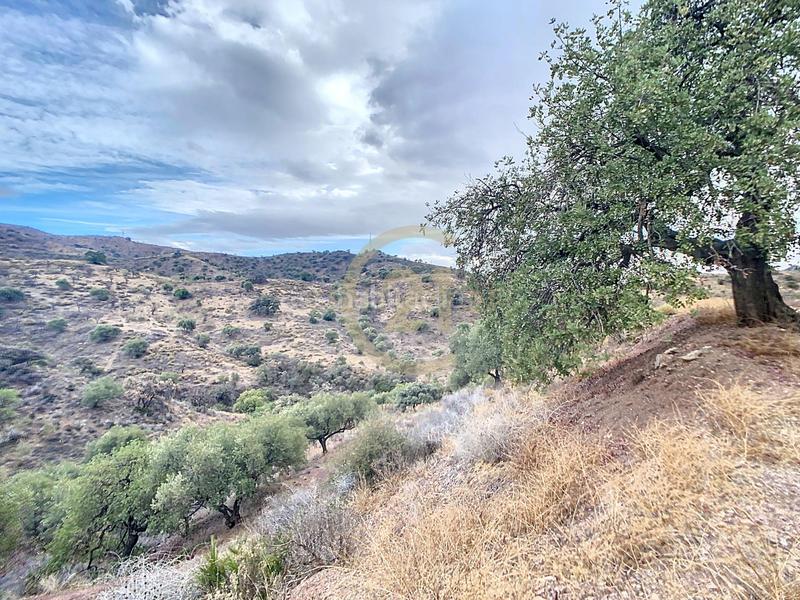 Foto f2a0e81a-50a4-4385-8b37-73a538e43d3b. Casa in poligono in El Cortijuelo Málaga