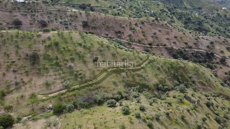 Foto 1d475140-3621-43c0-8987-15de5f841fce. Finca rústica a Álora