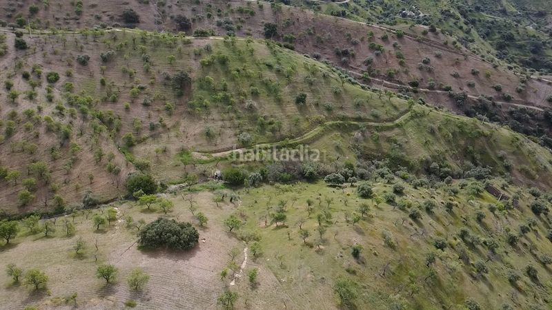 Foto 2c0e38ab-97ab-4688-9fc2-e889e66d9433. Finca rústica a Álora