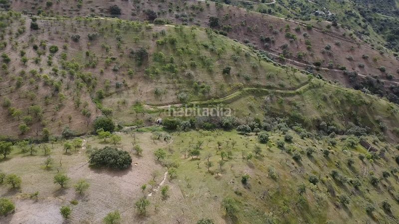 Foto 41e47928-2cd3-474c-9b62-66c959e5bb43. Finca rústica a Álora