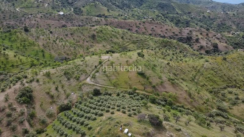 Foto 5cc635c3-d4c6-4cba-aa1b-ff0942f15217. Finca rústica a Álora