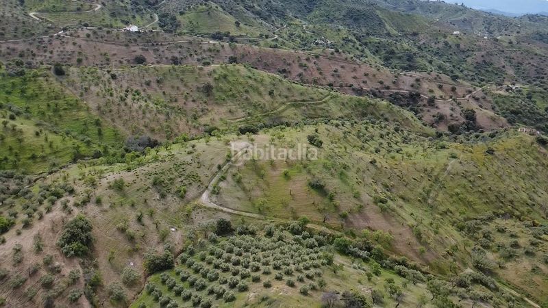 Foto 5ee437de-d895-4ffe-9ce0-92d89126c0ab. Finca rústica a Álora