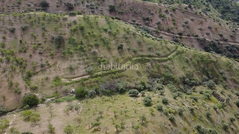 Foto 71721a99-6585-405e-971d-4a81a026d086. Finca rústica a Álora