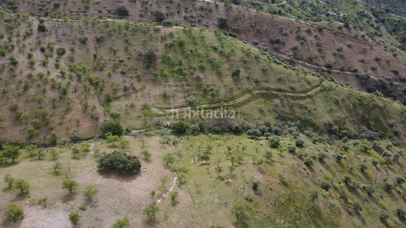 Foto 8e9067a0-d3e0-43b0-b864-0e1638459caf. Finca rústica a Álora
