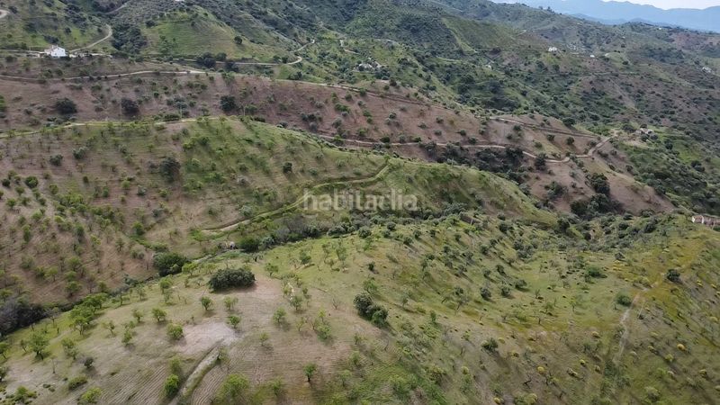 Foto df930798-d945-4bc7-b7ae-329b449005e8. Finca rústica a Álora