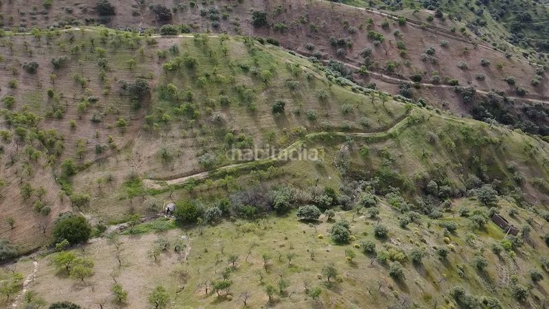 Foto e7b37861-1d34-420f-8e6f-7e361989d9f4. Finca rústica a Álora