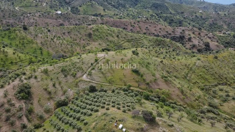 Foto fa8be0d3-2680-405d-8056-2f8ecbadd501. Finca rústica a Álora