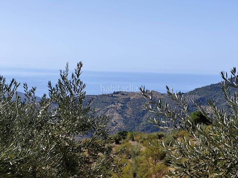 Foto 04e8c318-38e4-4c91-8fb9-043ce7620686. Haus in carretera otívar a Lentegí 1 in Lentegí