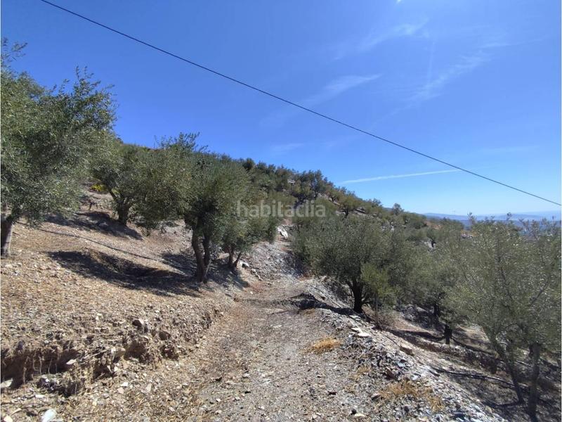 Foto 9262bcde-3cf1-4fbd-9245-4f698cd40579. Haus in carretera otívar a Lentegí 1 in Lentegí