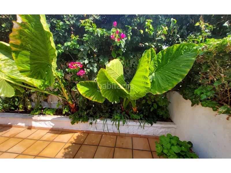 Foto 3c7f81a9-50a1-4034-9ac5-44bce79e1584. Haus in taramay 1 in Velilla - Velilla Taramay Almuñécar