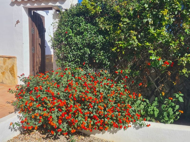 Foto ee277df5-27ed-4aba-8c79-421dae6f5bbf. Casa amb calefacció aparcament piscina a Burjulu - La Mulería Cuevas del Almanzora