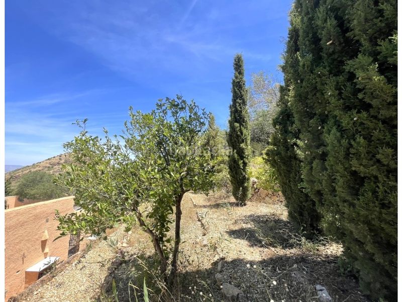 Foto 088ddb4b-ea89-43b6-b5b0-aba210e0a519. Casa amb piscina a Turre
