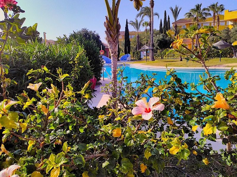 Foto 31b27ced-cfe4-4c51-ac4d-d92a34869143. Apartament amb aparcament piscina a Vera playa naturista Vera