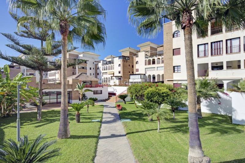 Foto 14d0cb4b-6bd7-4c0c-baa0-a60f5bbdc683. Rent flat in calle rector josé vida soria 2 in Playa de Granada Motril