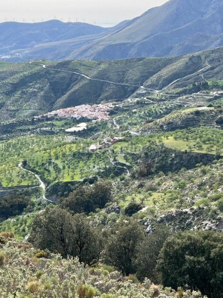 Foto 05bb8f30-3ee0-415e-8152-390f2598428e. Masia a Rubite