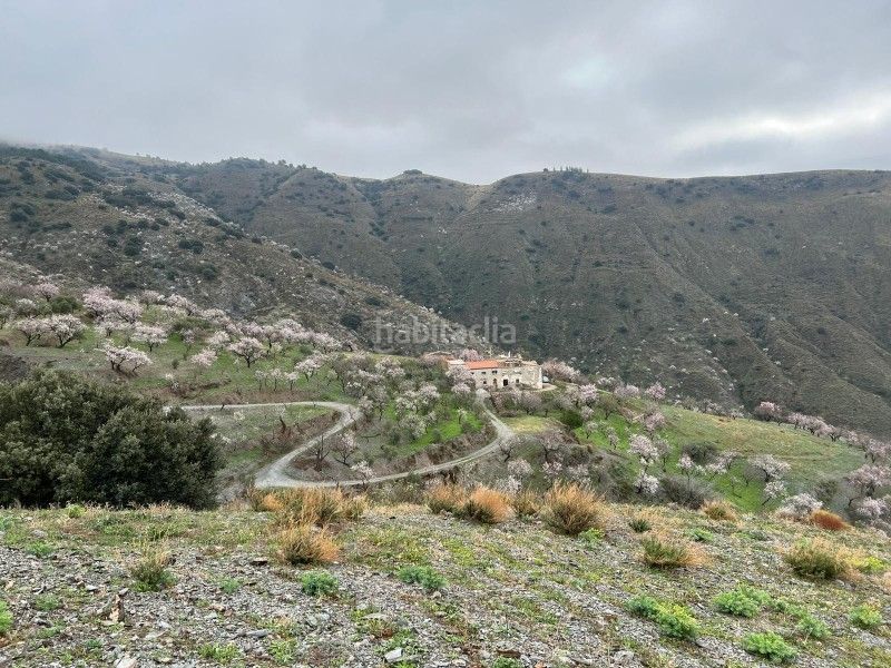 Foto 22ada79a-ff94-4a16-88a5-c103e2c80acc. Masia a Rubite